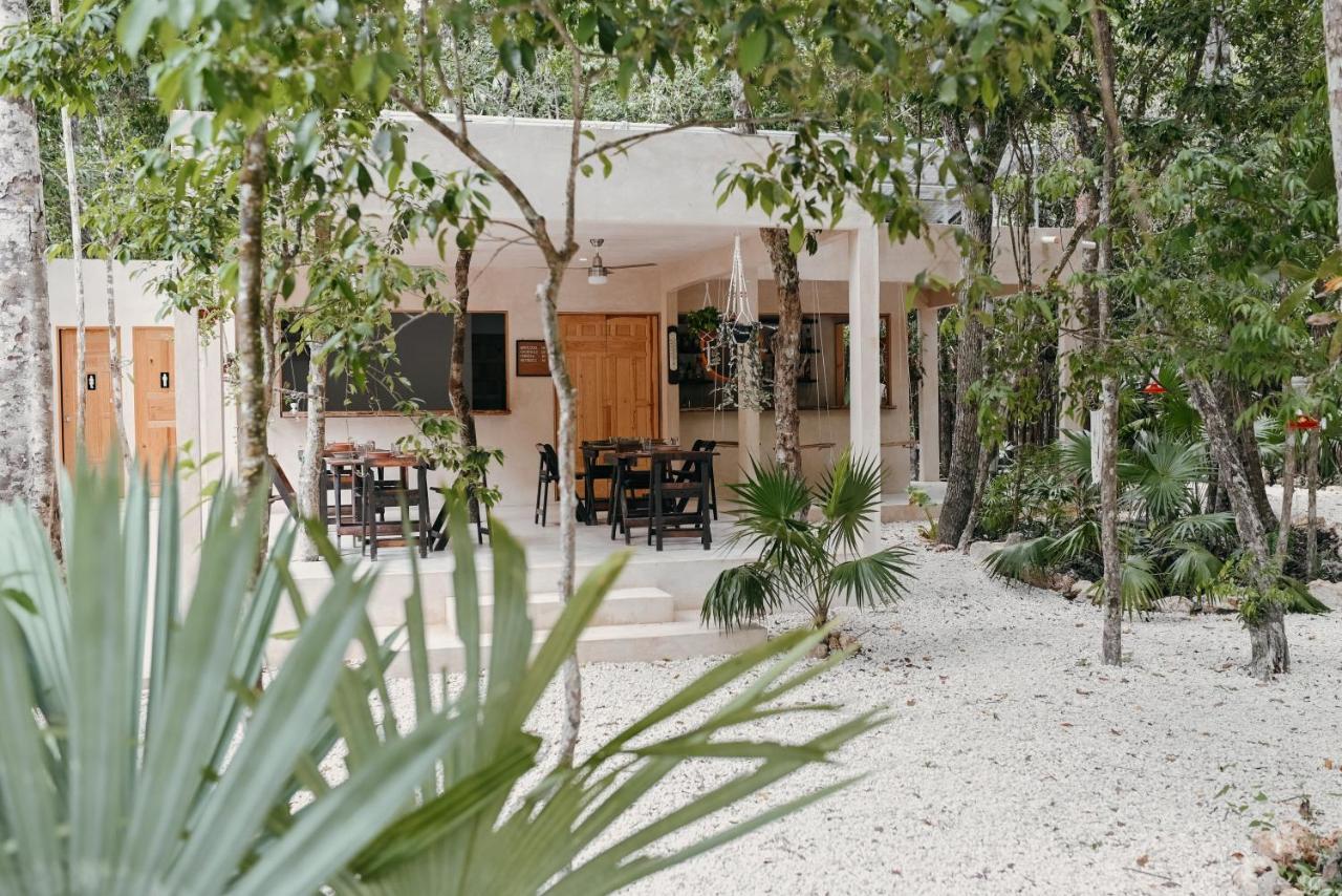 Lunita Jungle Experience Hotel Puerto Morelos Exterior foto